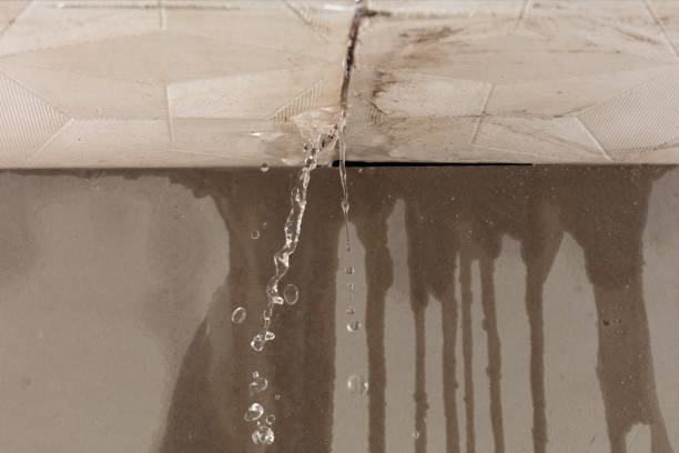 Professional Structural Drying technician working in New Franklin, MO